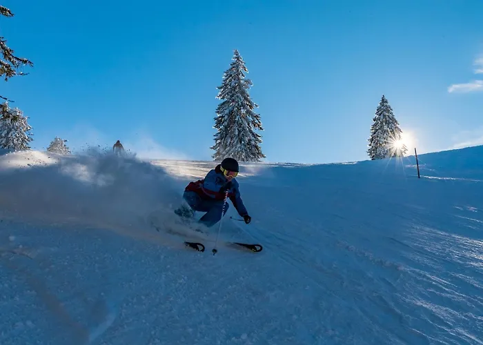 Holiday home Ferienblockhaus 